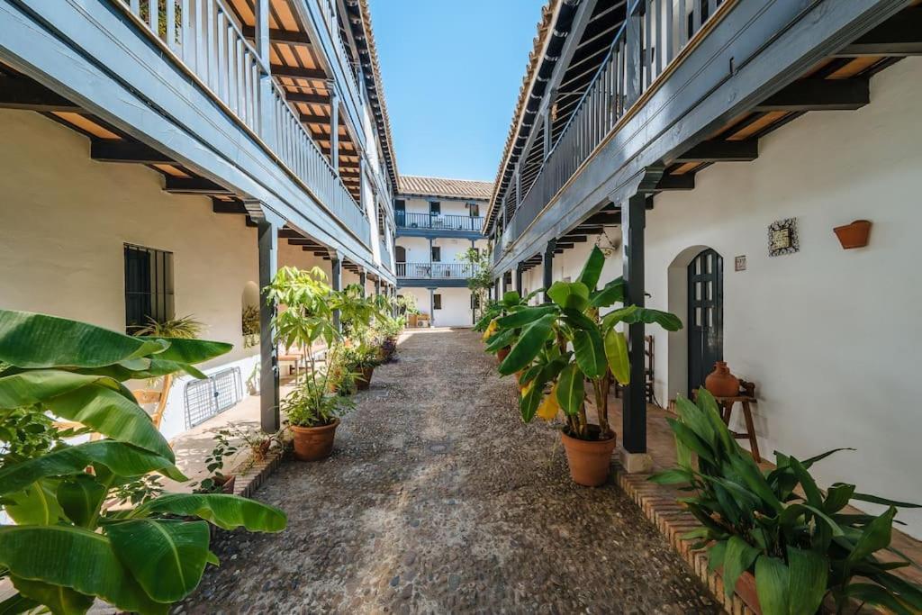 New Apartment In Traditional Building Of The XVI Century Sevilla Exterior foto